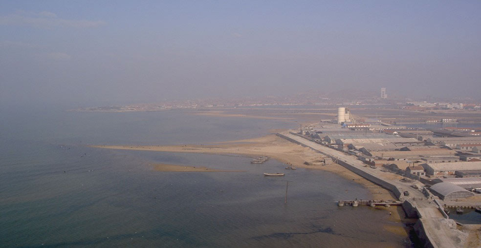 W020241121368828822419