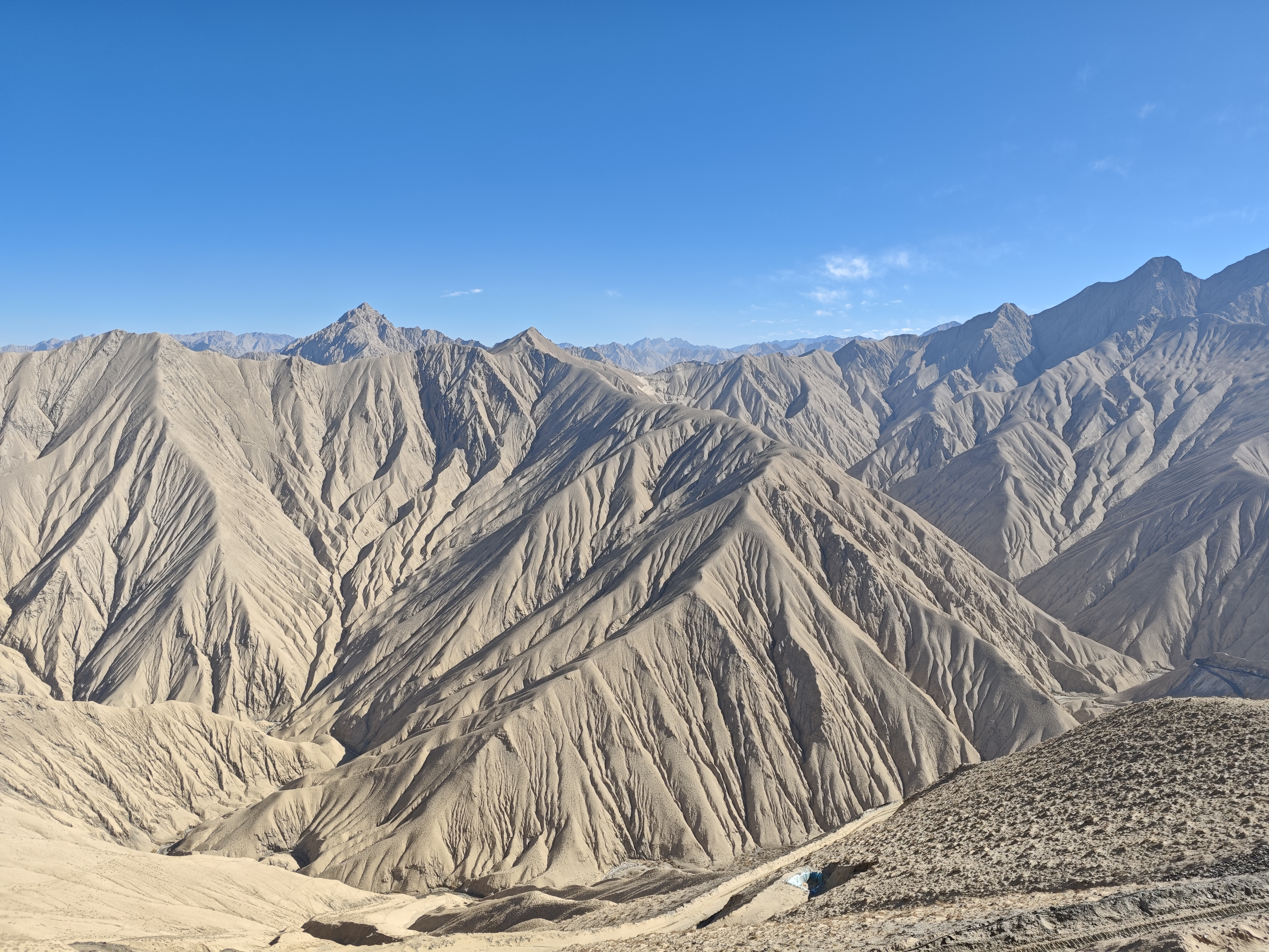 东升国际官网-钻营健全,你我一路成长