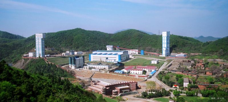 W020241119524343475558