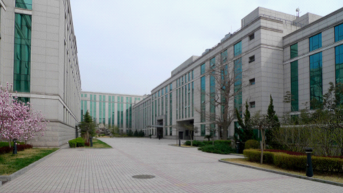 W020241119528354258790