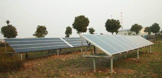 W020241119526078866044