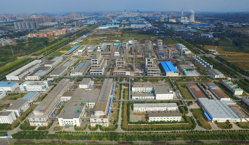 W020241119526081674621