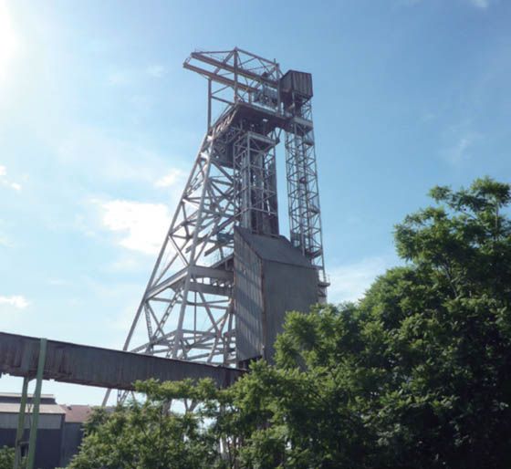 W020241119529307995240